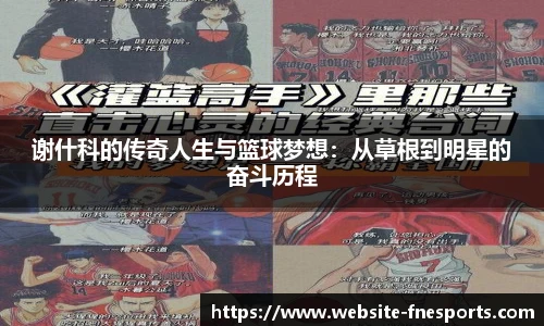 谢什科的传奇人生与篮球梦想:从草根到明星的奋斗历程